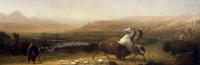 AlbertBierstadt_Buffalo.jpg