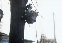 IMG_7194.JPG