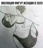 9702353.jpg